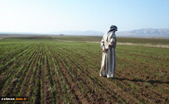 کشاورزی در عراق